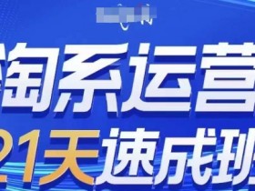 淘系运营21天速成班(更新24年6月)，0基础轻松搞定淘系运营，不做假把式