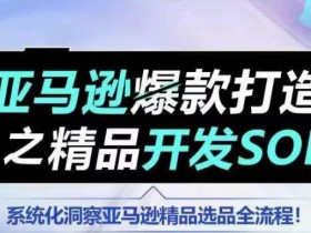 【训练营】亚马逊爆款打造之精品开发SOP，系统化洞察亚马逊精品选品全流程