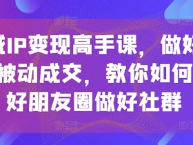 私域IP变现高手课，做好私域，被动成交，教你如何打造好朋友圈做好社群