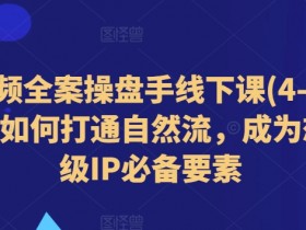 短视频全案操盘手线下课(4-5月)教你如何打通自然流，成为想象级IP必备要素