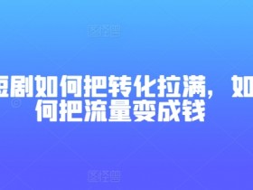 短剧如何把转化拉满，如何把流量变成钱