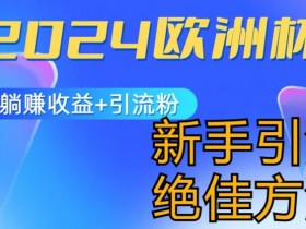 2024欧洲杯风口的玩法及实现收益躺赚+引流粉丝的方法，新手小白绝佳项目【揭秘】