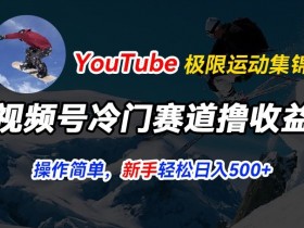 视频号冷门赛道撸收益，YouTube搬运极限运动集锦，暴力起号，操作简单流量高，轻松日入5张【揭秘】