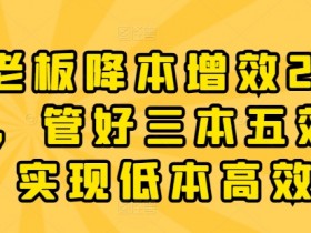老板降本增效20讲，管好三本五效，实现低本高效