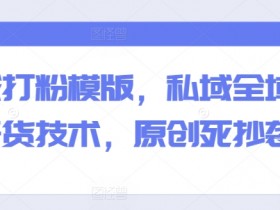 全域打粉模版，私域全域打粉干货技术，原创死抄袭生