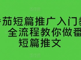 番茄短篇推广入门教学，全流程教你做番茄短篇推文