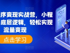 抖音小程序变现实战营，小程序变现的底层逻辑，轻松实现流量变现