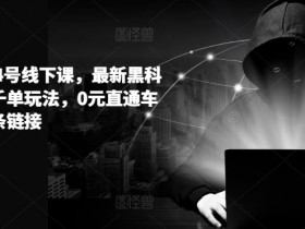 拼多多6月14号线下课，最新黑科技起爆日出千单玩法，0元直通车如何起飞一条链接