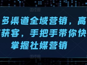 海外多渠道全域营销，高效引流获客，手把手带你快速掌握社媒营销