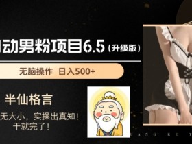 男粉项目6.5升级版，全自动男粉项目，日收入1K+【揭秘】