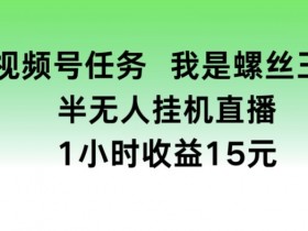 视频号任务，我是螺丝王， 半无人自动运行1小时收益15元【揭秘】