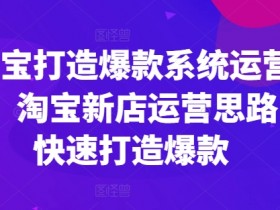 淘宝打造爆款系统运营课，淘宝新店运营思路，快速打造爆款