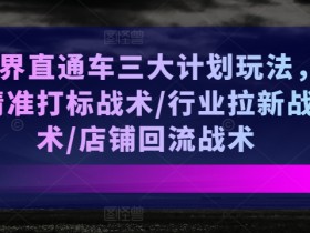 无界直通车三大计划玩法，精准打标战术/行业拉新战术/店铺回流战术