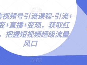 微信视频号引流课程-引流+裂变+直播+变现，获取红利，把握短视频超级流量风口