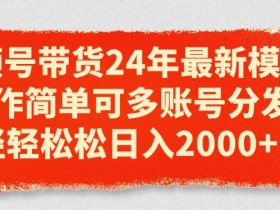 视频号带货24年最新模式，操作简单可多账号分发，轻轻松松日入2k【揭秘】