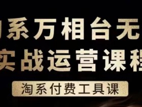 淘系万相台无界实战运营课，淘系付费工具课