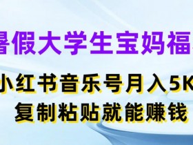 暑假大学生宝妈福利，小红书音乐号月入5000+，复制粘贴就能赚钱【揭秘】