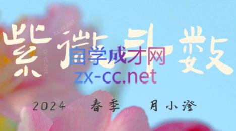 月小澄·2024紫微斗数春季班