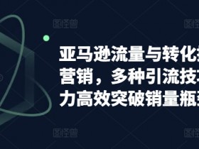 亚马逊流量与转化提升整合营销，多种引流技巧讲解助力高效突破销量瓶颈