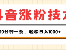 抖音涨粉技术，1个视频涨500粉，10分钟一个，3种变现方式，轻松日入1K+【揭秘】
