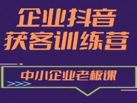 企业抖音营销获客增长训练营，中小企业老板必修课