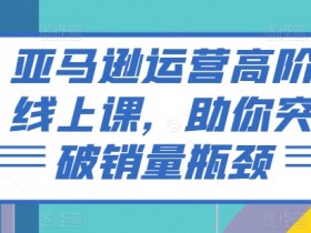亚马逊运营高阶线上课，助你突破销量瓶颈