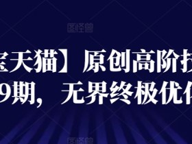 【淘宝天猫】原创高阶技术第59期，无界终极优化