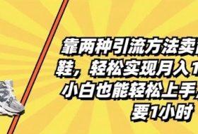 靠两种引流方法卖莆田高端鞋，轻松实现月入1W+，小白也能轻松上手，每天只要1小时【揭秘】