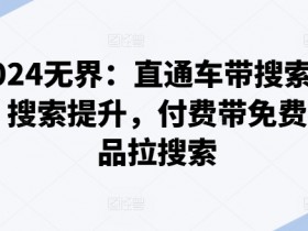 2024无界：直通车带搜索玩法，搜索提升，付费带免费，爆品拉搜索