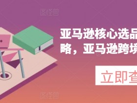 亚马逊核心选品推广新攻略，亚马逊跨境电商教程