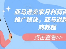 亚马逊卖家月利润百万的推广秘诀，亚马逊跨境电商教程