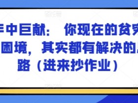 某付费文章：年中巨献： 你现在的贫穷和困境，其实都有解决的思路 (进来抄作业)