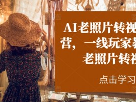 AI老照片转视频实战营，一线玩家教你AI老照片转视频