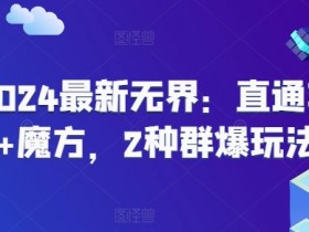 2024最新无界：直通车+魔方，2种群爆玩法