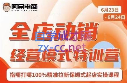 阿呆电商·全店动销经营模式特训营（线下录音+思维导图）