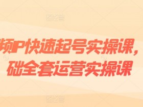 短视频IP快速起号实操课，0基础全套运营实操课，爆款内容设计+粉丝运营+内容变现