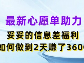 最新心愿单助力，妥妥的信息差福利，两天赚了3.6K【揭秘】