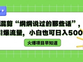 德云混剪“纲纲说过的那些话”，轻松引爆流量，小白也可日入500+【揭秘 】