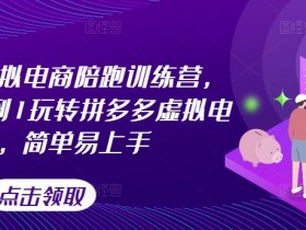 拼多多虚拟电商陪跑训练营，教你从0到1玩转拼多多虚拟电商，简单易上手