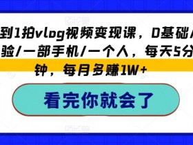 从0到1拍vlog视频变现课，0基础/0经验/一部手机/一个人，每天5分钟，每月多赚1W+