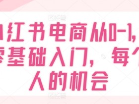 小红书电商从0-1，零基础入门，每个人的机会