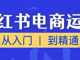 小红书电商运营课，从入门到精通，带你抓住又一个赚钱风口