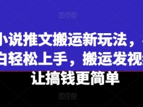 小说推文搬运新玩法，小白轻松上手，搬运发视频让搞钱更简单