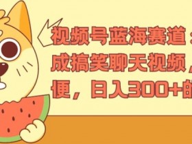 视频号蓝海赛道：AI 生成搞笑聊天视频，操作简便，日入300+的教程【揭秘】