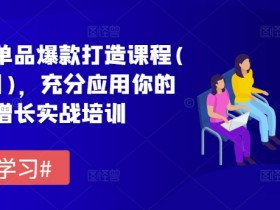 拼多多单品爆款打造课程(更新6月)，充分应用你的流量，增长实战培训