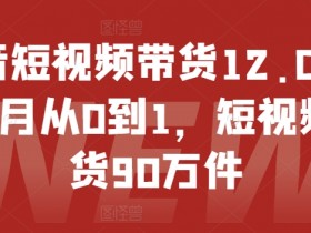 抖音短视频带货12.0，14个月从0到1，短视频带货90万件