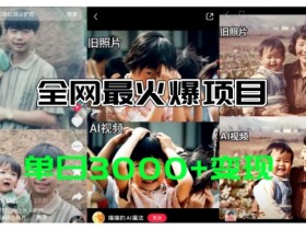 全网爆火的AI让老照片动起来教程，蹭热点日赚3k+，内含免费工具一键可生成【揭秘】