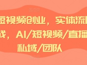 AI短视频创业，实体流量实战，AI/短视频/直播/私域/团队