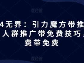 2024无界：引力魔方带推荐玩法，人群推广带免费技巧，付费带免费