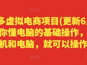 拼多多虚拟电商项目(更新6月)，只要你懂电脑的基础操作，有手机和电脑，就可以操作